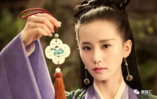 刘诗诗深情赠朴宝剑宝瓶花，友谊之花绽放中韩