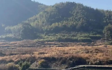 刘涛回应妈祖照被设屏保：尊重传统，传递美好寓意