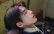 张凌赫情绪崩溃：背后原因揭秘