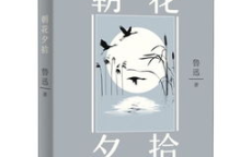 岁月回响：儿时谜团终解之谜