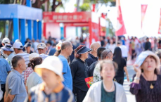 反向、旅游过年 这些线路值得推荐